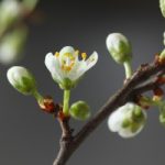 Starten Sie gesünder in den Frühling!